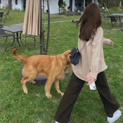 牡丹花血案