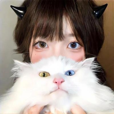 胡同猫